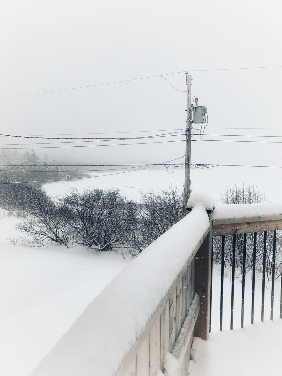 GrayMarker99's tweet photo. Good morning! It’s a really snowy one out there today!
Snapped this picture as I was waiting for my oatmeal.
Have a great Sunday!
#marksbackyard
#ShareYourWeather
#bonavista https://t.co/v2jzKyIdBB