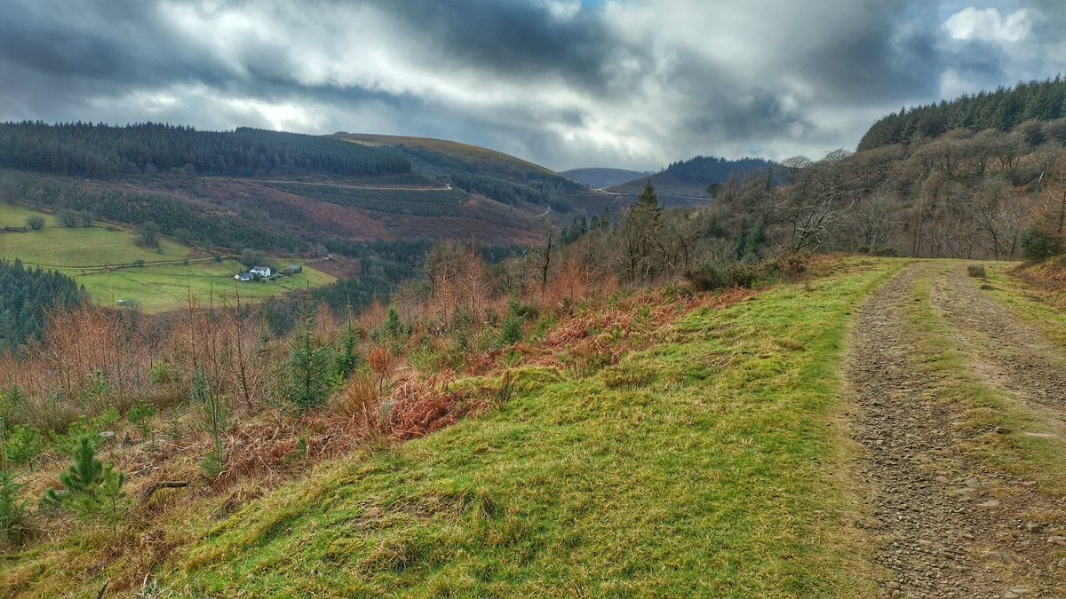 Prof. Dom Eggbeer tweet media