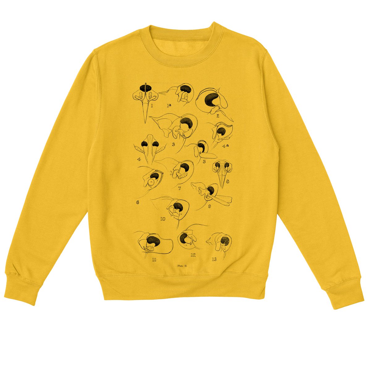 wildillustra's tweet photo. PLATE II.
Essential Classic Sweatshirt
(80% ringspun cotton &amp; 20% polyester, with a brushed underside)

https://t.co/9aR9zUny0v

#sweatshirt #sweatshirts #SweatshirtStyle #jumper #jumpers #jumperstyle #cosycasuals #everpress #everpresshq #science #insects #nature #fashion https://t.co/vKZP0fxEOu