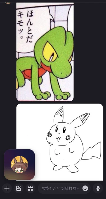 キモリにキモがられるピカチュウ 