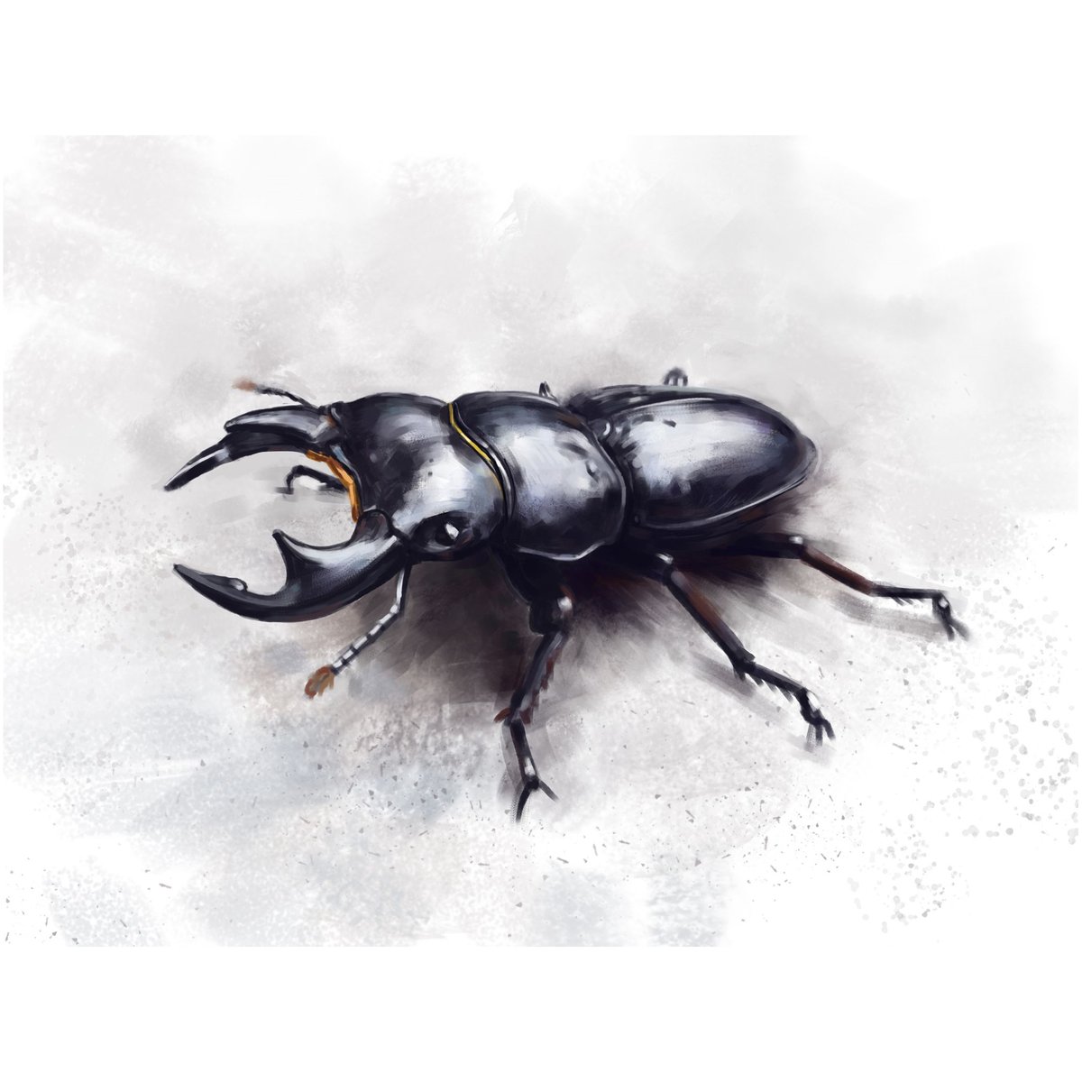 Switchpipi's tweet photo. Just a bug study
#bug #insect #study #digitalart https://t.co/GCeowxwUwn