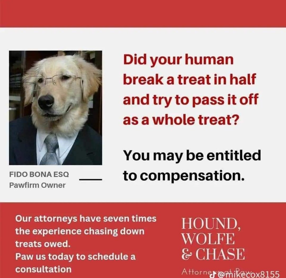 leaveit4later's tweet photo. A very important #PSA for all #dogs on #BigDogSunday @danibeckstrom @ToniYates7 @PedroRiveraTV @ABC7NY 🐶🦮 #SundayFunday 😅 https://t.co/hq1VDG9OeB
