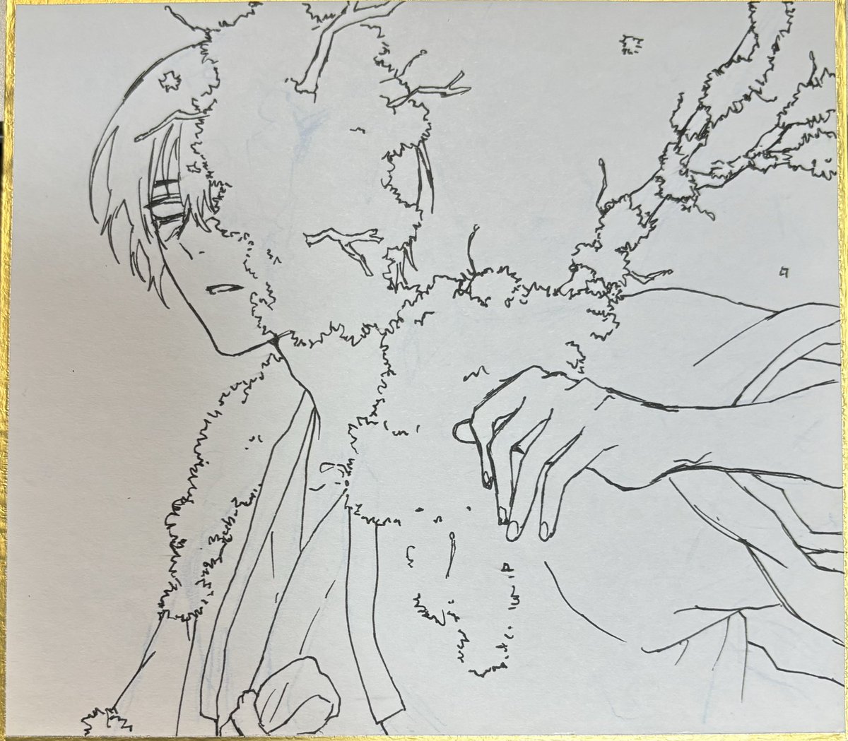 なんとなく撮ってたもの 