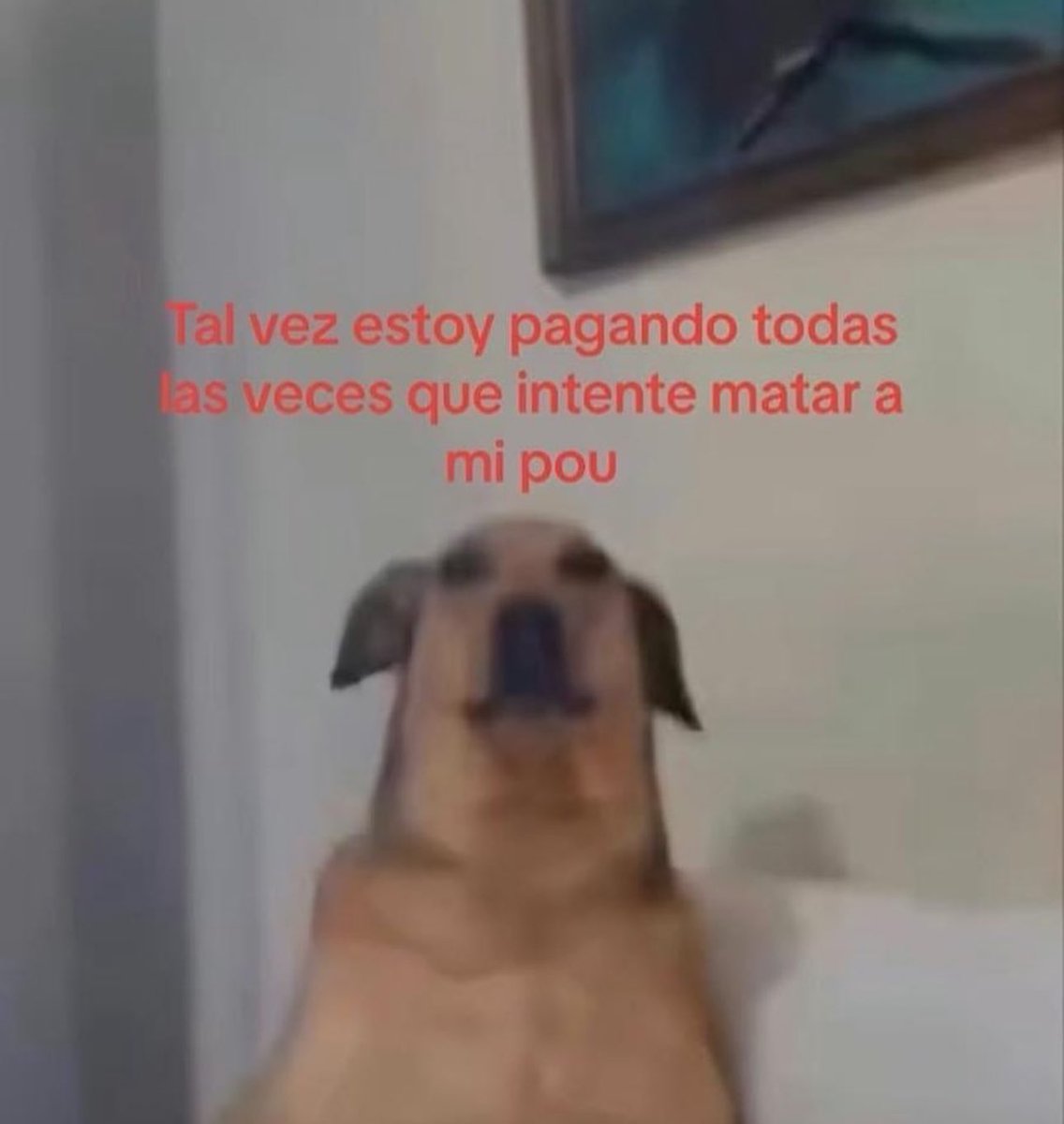 piña sin pizza (@skereunpesado) on Twitter photo 