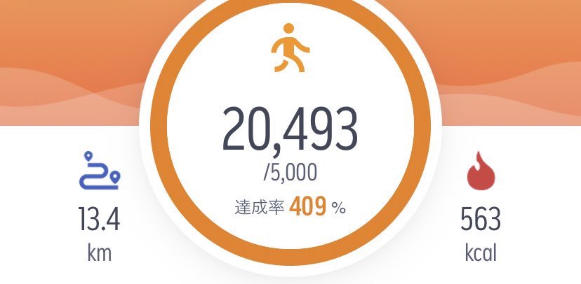 ありんこ🍁 tweet media