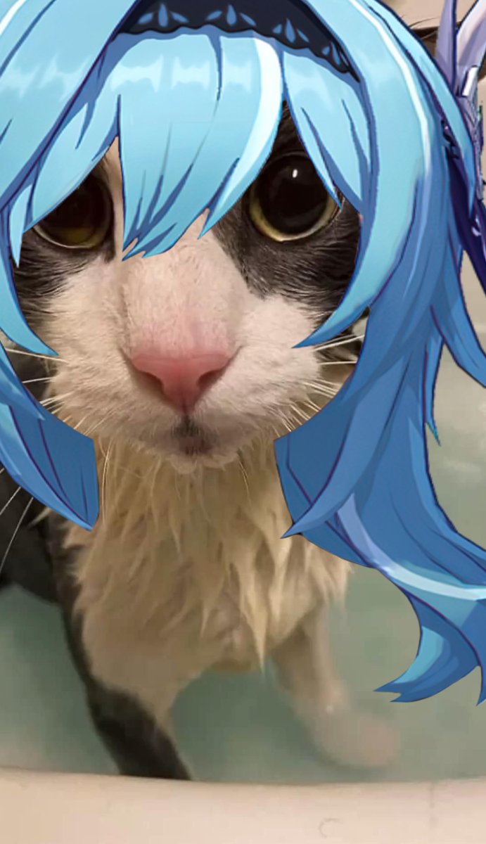 colleisflower's tweet photo. YOU KNOW WHAT.

Silly bunny and soggy cats your eulamber

YEAAAAH

[ i love #eulamber dearly. Theyre my everything guys ] https://t.co/9J6inEcDYR