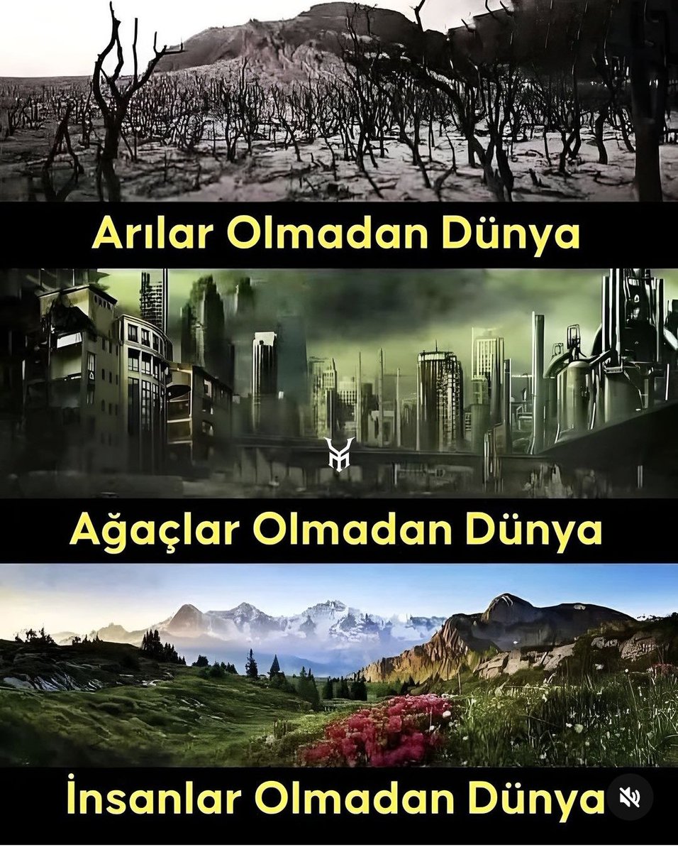 Rabbim bize insan olmayı öğrenin demiş ama bizler herşey olduk bir insan olmayı beceremedik.
Sadece yakıp , yıkmaya, kötülüğe ve ego savaşlarına yeniliyor bu Dünya...