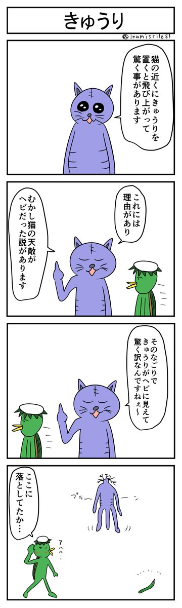 きゅうり
#ものしりキャット 