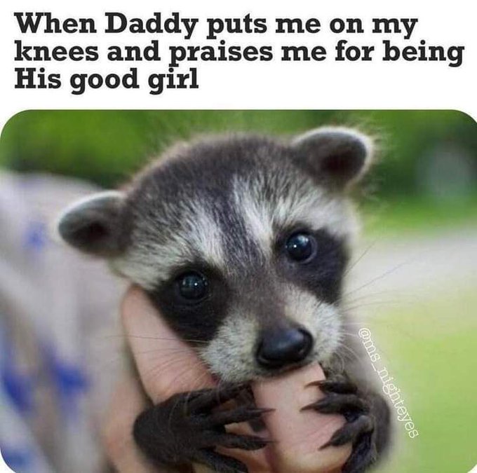 Aaaawweeee <3 https://t.co/Qf2DWbVcku