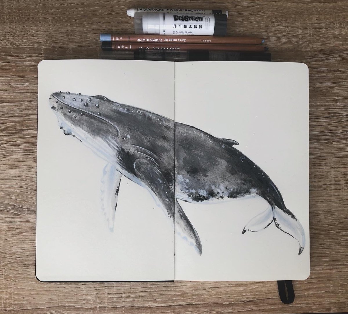 Happy #WorldWhaleDay

I needed to make some sketchbook time this morning for a whale doodle..what beautiful creatures 😍😍

I think I’d actually cry if I met one 🐋 it’s on my bucket list! ✨🤞🏽

#whaleday #worldwhaleday2024 #humphackwhale