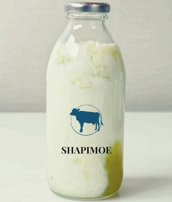 SHAPI 🐮 tweet media