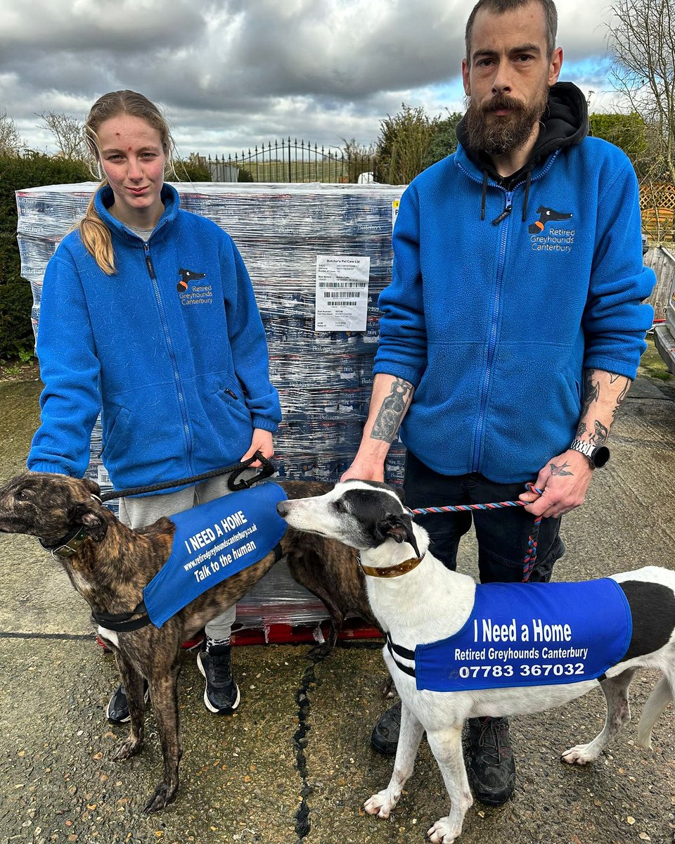 We’d like to say a big big thank you to @butchersdogfood for their kind donation of a pallet of food, Ace, Jack & all our other hounds are going to enjoy feeding time just that little bit more over the next few weeks #thankyoubutchers #dogfood #greyhoundlove