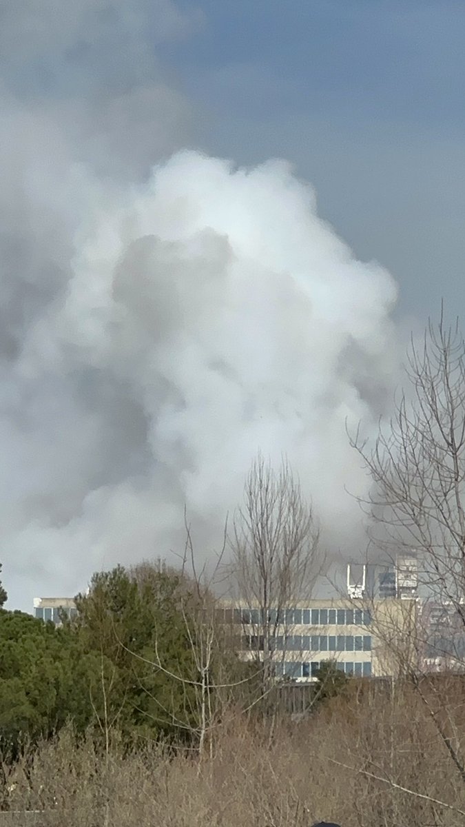 Calidad del aire hoy en Madrid gracias al <a href="/MADRID/">Ayuntamiento Madrid</a> y <a href="/AlmeidaPP_/">José Luis Martínez-Almeida</a>  #NoALaMascletá