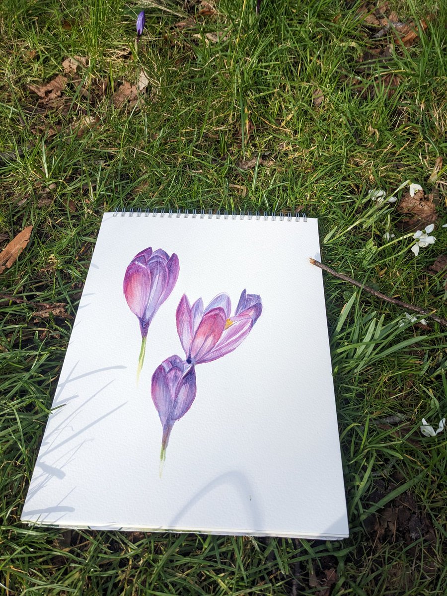 Same plant, this time at <a href="/TheBotanics/">Royal Botanic Garden Edinburgh</a>, 1 year apart