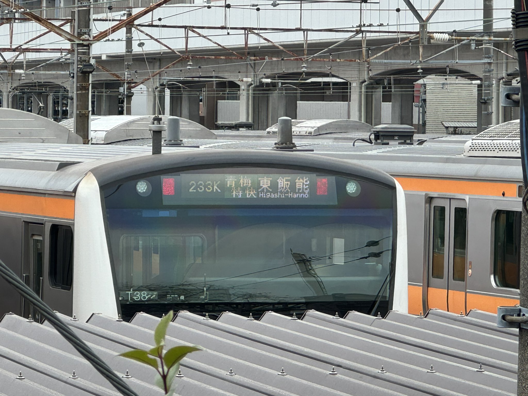 武蔵小金井・東小金井の街情報 on X: 