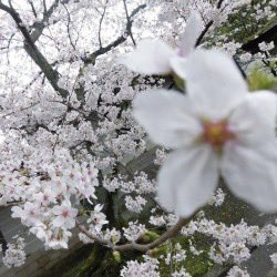 azidulac's tweet image. ⠀⠀⠀⠀⠀  ୨୧⸝⸝˙🎀˳⑅˙♡
procurando por novos mutuals❕

ela dela . estudante de nutrição 
+  18 .  tentando  seguir  uma 
rotina  e  manter  o  foco  🧘🏽‍♀️
⠀⠀⠀
♥︎ / ↺  to be mutuals  𐙚 ‧₊˚ ⋅

#studytwt #booktwt #lovelytwt