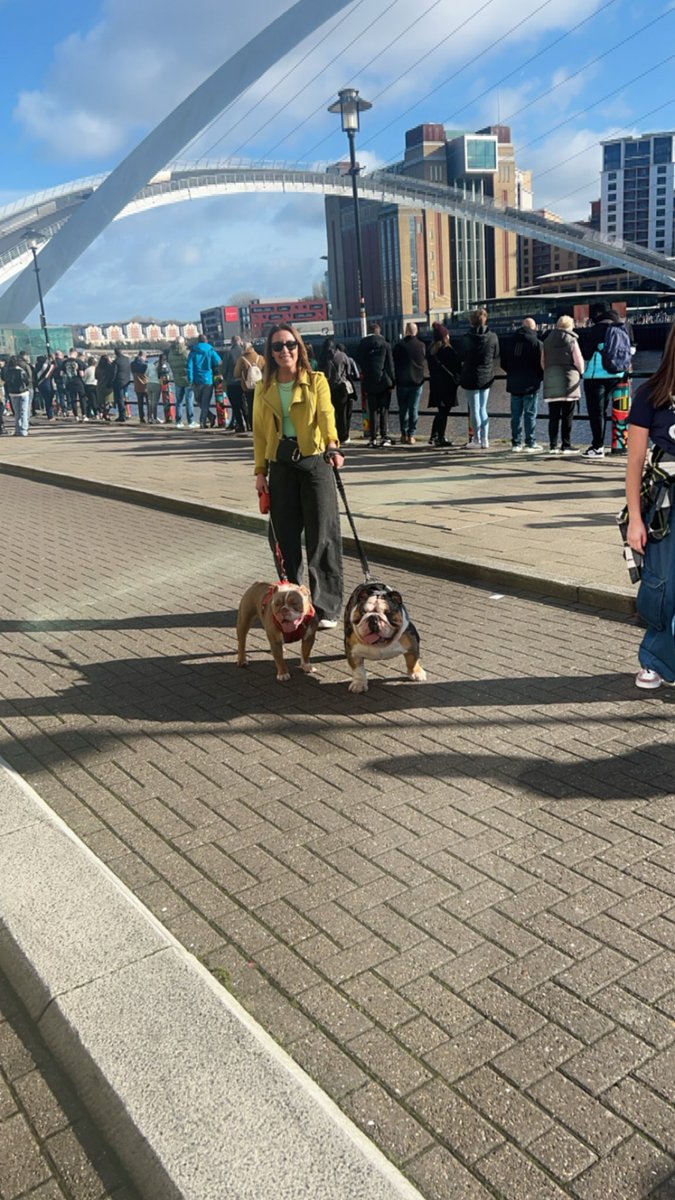 rlbf15's tweet photo. Soulful Sundays with my pooches 🥰 https://t.co/tDSt3oYDc2