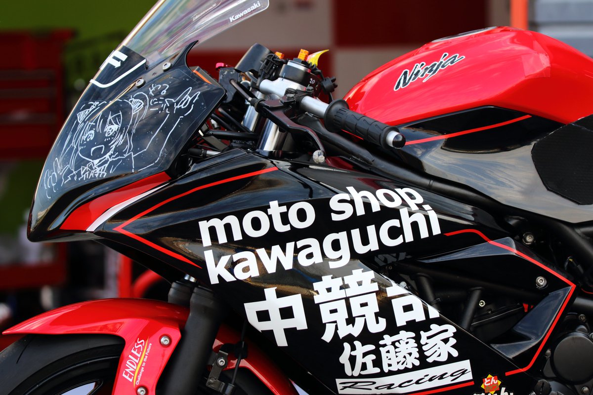 Ninja250SLはレーサーたちに人気なのは同クラスのCBR250R（MC41）と乗り比べると圧倒的にひらひら感があってコンパクトでスリムなボディで乗ってて楽しい。というのがあるからかなぁと（個人的な感想です）
写真は2019もて耐参戦の時です。