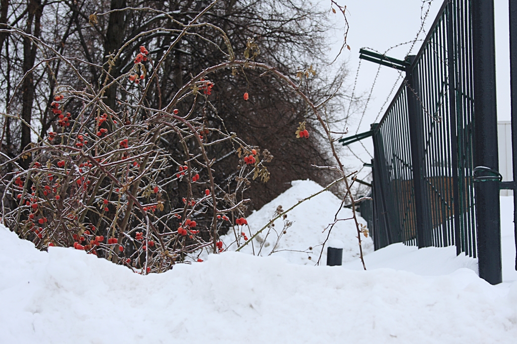 Kira72924207's tweet photo. ☮️💞🕊️ 🤲 🕊️💞☮️
✨ with love and hope ✨
#PeaceForTheWorld 🕊️ 🌏🕊️ #coloursofwinter
#ファインダー越しの私の世界 #streetphotography https://t.co/NBzqjw9Jf4