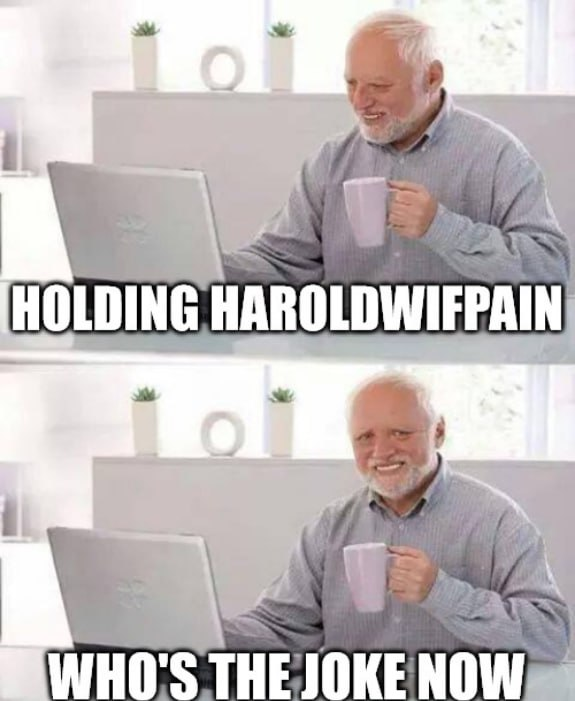 eravine_'s tweet photo. #haroldwifpain $PAIN is doing great for now.  

- Original name. 
- One of the biggest #Meme.
- Around 1M volume in less than 1 hour since launch. 
- Some big chads are joining to us.  

I'm getting excited with what this token can show to the #Solana Chain. https://t.co/1U7YAdujzJ