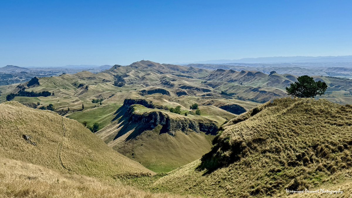 🇳🇿 Te Mata Peak
Havelock North 
New Zealand 
Veronique Derouet 02/2024
#northislandnz #newzealand #tematapeak #landscapephotography #mointains #havelocknorth @ThePhotoHour