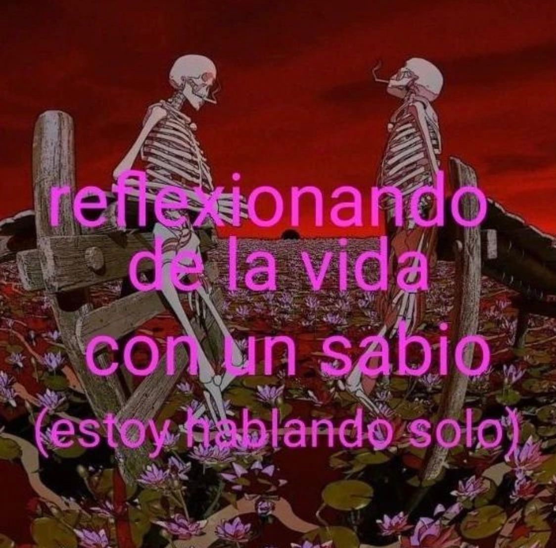 chincheto pirata somali (@wikipistacho) on Twitter photo 