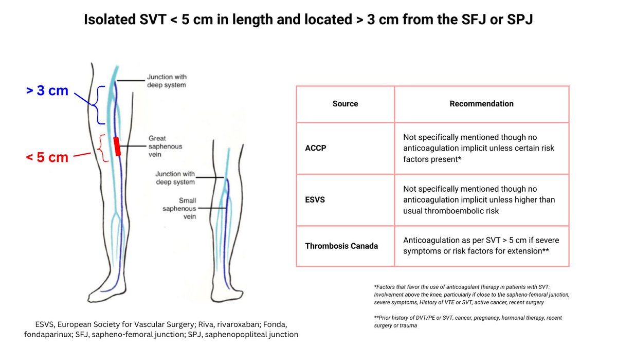 ZHeart11768530's tweet photo. 🔴 Superficial Vein Thrombosis: To Anticoagulation or not to Anticoagulate?

https://t.co/TqvNVg1SEm
#CardioTwitter #cardiology #CardioEd #meded #medical https://t.co/E6yzPxJJoU