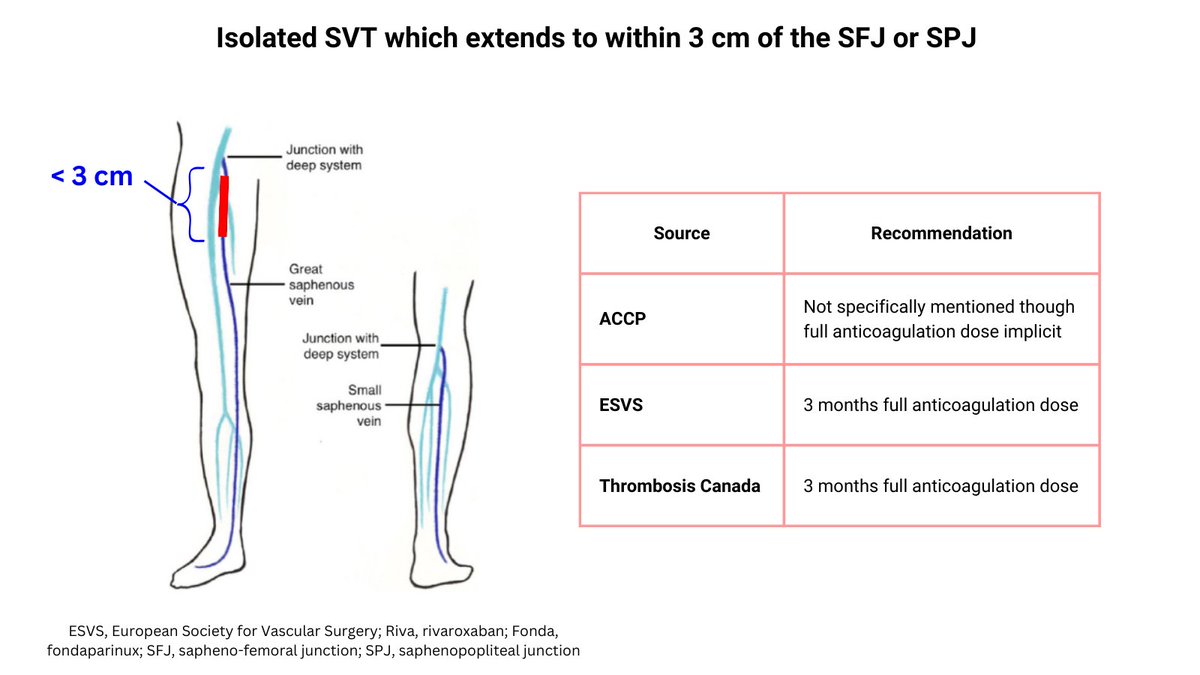 ZHeart11768530's tweet photo. 🔴 Superficial Vein Thrombosis: To Anticoagulation or not to Anticoagulate?

https://t.co/TqvNVg1SEm
#CardioTwitter #cardiology #CardioEd #meded #medical https://t.co/E6yzPxJJoU