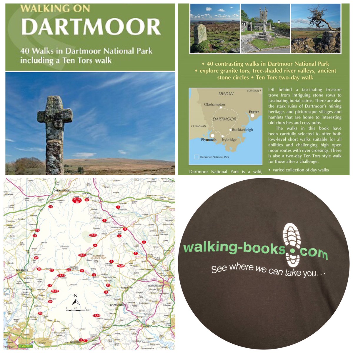 Catherine Austin Fitts tweet media