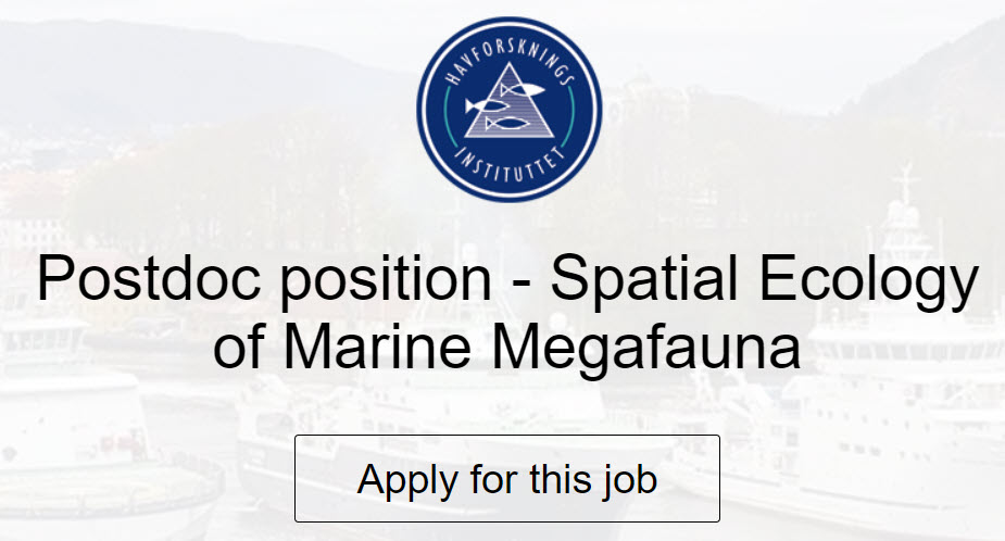 Howard I. Browman (also now @hbrowman.bsky.social) (@hbrowman) on Twitter photo Come work with us at one of Europe's largest broad scope marine research institutes! - jobbnorge.no/en/available-j… Come work with us at one of Europe's largest broad scope marine research institutes! - jobbnorge.no/en/available-j…