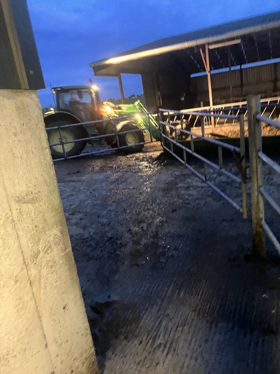 Pity school is back tomorrow the help and company was great for the week