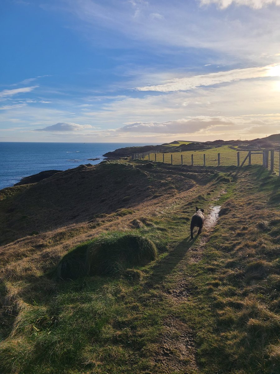 oldphotogeezer's tweet photo. Fabulous day for a dander. #sheepland #lecale https://t.co/Ni2TuidULj