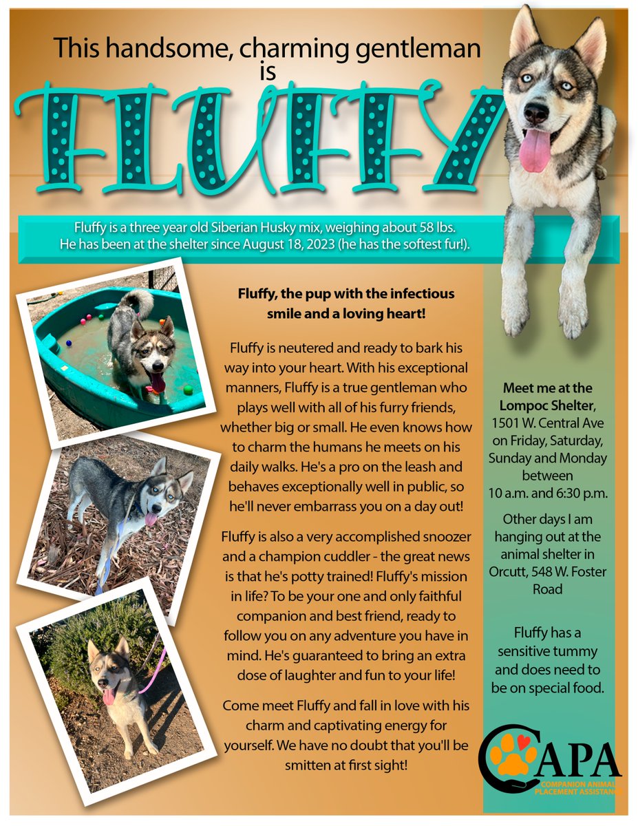 SBC Animal Services tweet media