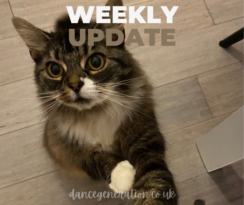 Kippychick tweet media