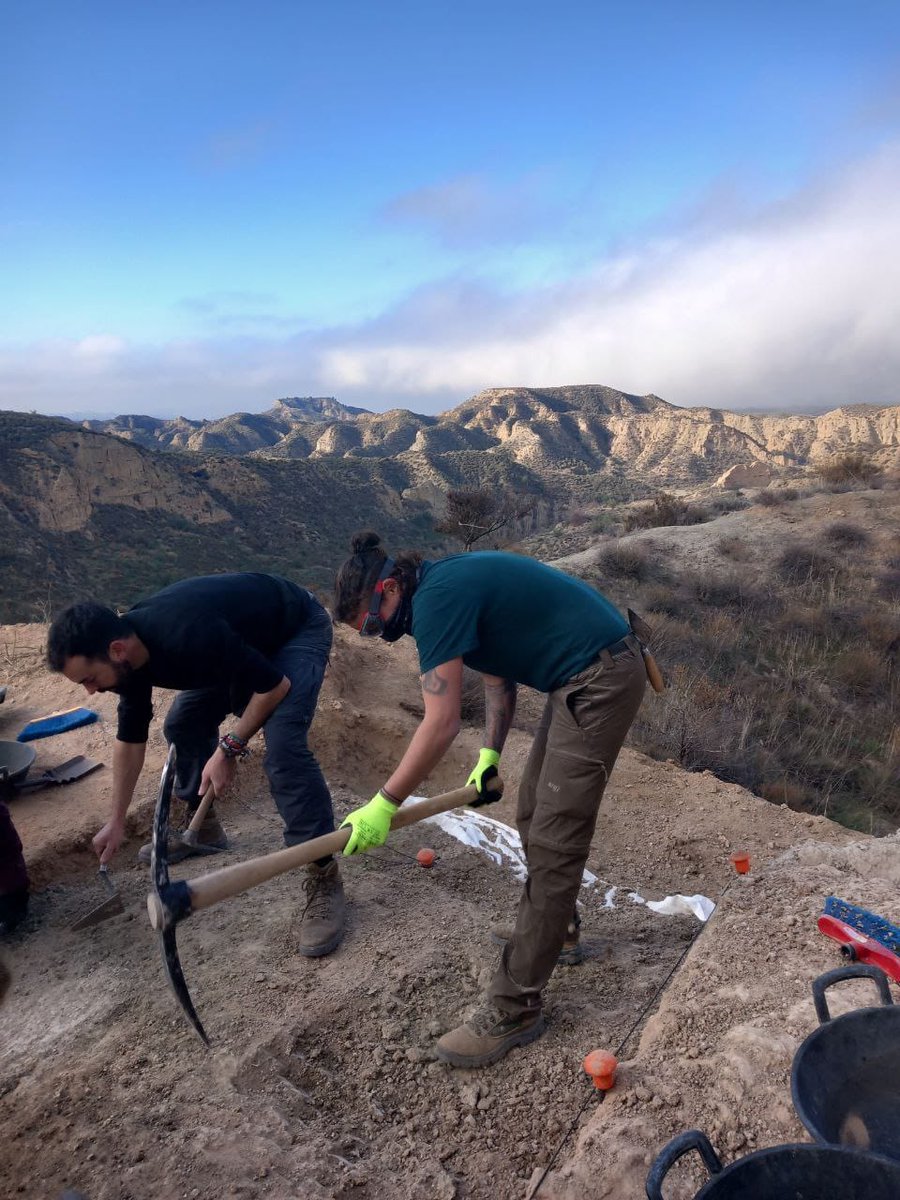 Pax_Hominida's tweet photo. Todo tiene un principio y un final, y la excavación en Solana del Zamborino #Fonelas no es una excepción. Hemos trabajado duro para retomar un yacimiento extraordinario que, esperemos, depare muchas sorpresas. Por ello es momento de dar las gracias. https://t.co/k4LXAJQrkA
