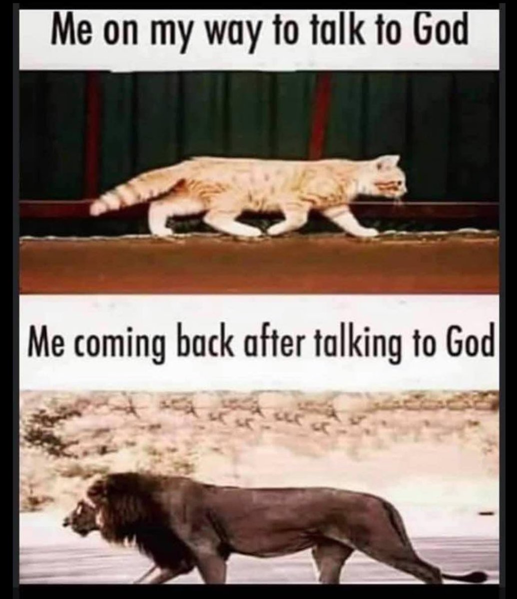 capt033's tweet photo. That daily talk with Him, now watch what He does. #trustHim #thankHim #stayblessed #GodsGrace https://t.co/nydOeJHVop