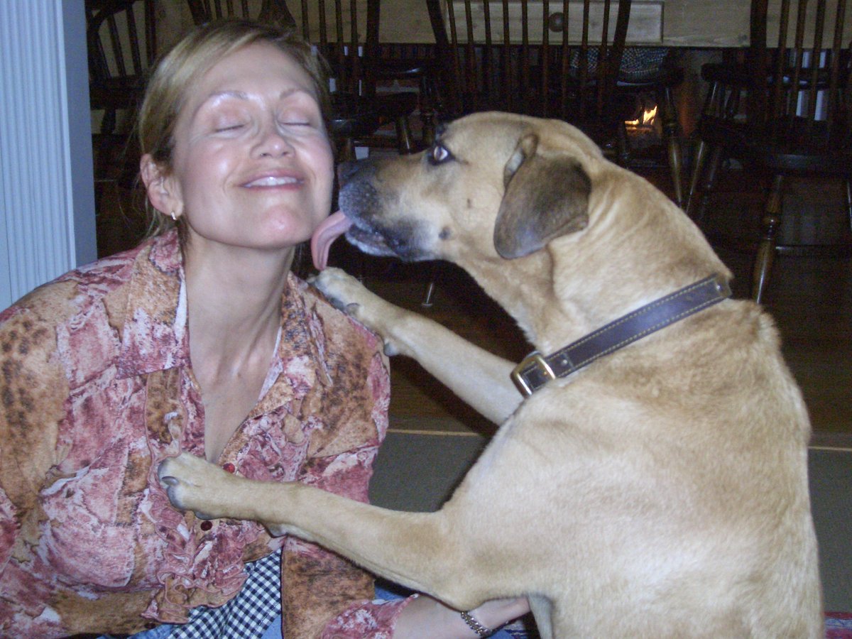 Today is Linda's second birthday in absentia. I still left a card on her nightstand, as I always did. This photo of her and our beloved dog Jake is the screen image on my phone. I'm not 100% certain of an afterlife, but I do like to think of them as together like this. ❤️❤️❤️