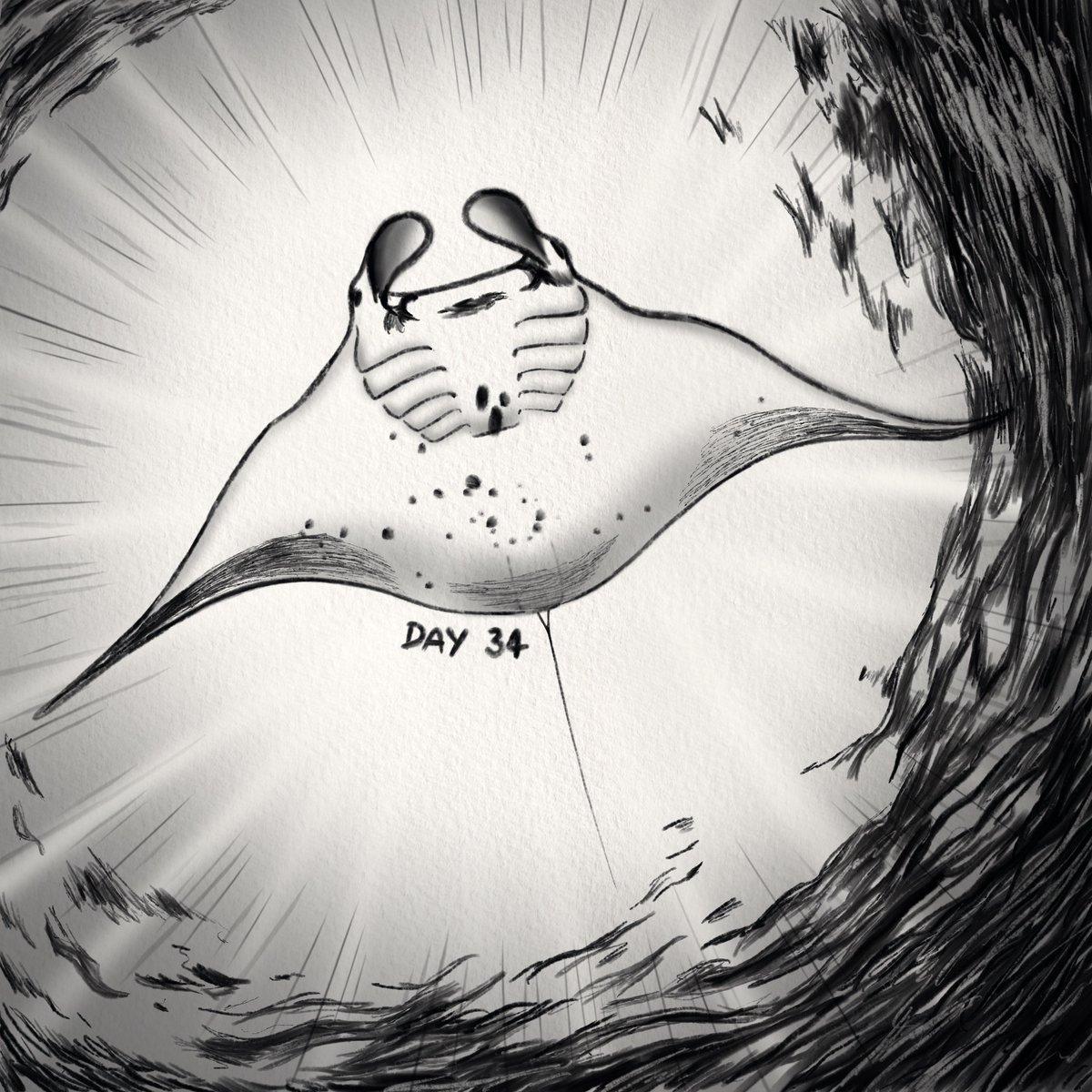 DAY 34 กับคุณ #กระเบนราหู ค่ะ

กระเบนราหูเป็นกระเบนที่ใหญ่ที่สุดในโลก สามารถโตได้ถึง 9 เมตร และมีน้ำหนักได้มากกว่า 1 ตัน มักอาศัยอยู่ในน่านน้ำเขตร้อนทั่วโลก โดยเฉพาะรอบๆแนวปะการัง และยังเป็นหนึ่งในกระเบนไม่กี่ชนิดที่ไม่มีเงี่ยงพิษที่หางด้วยล่ะ
#mantaray #365DaysOfAnimals