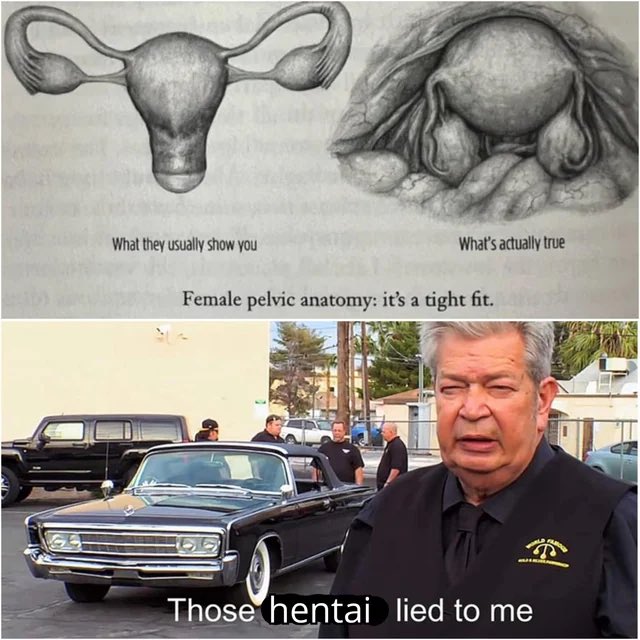 ShitpostGate's tweet photo. https://t.co/YROHoqek7O