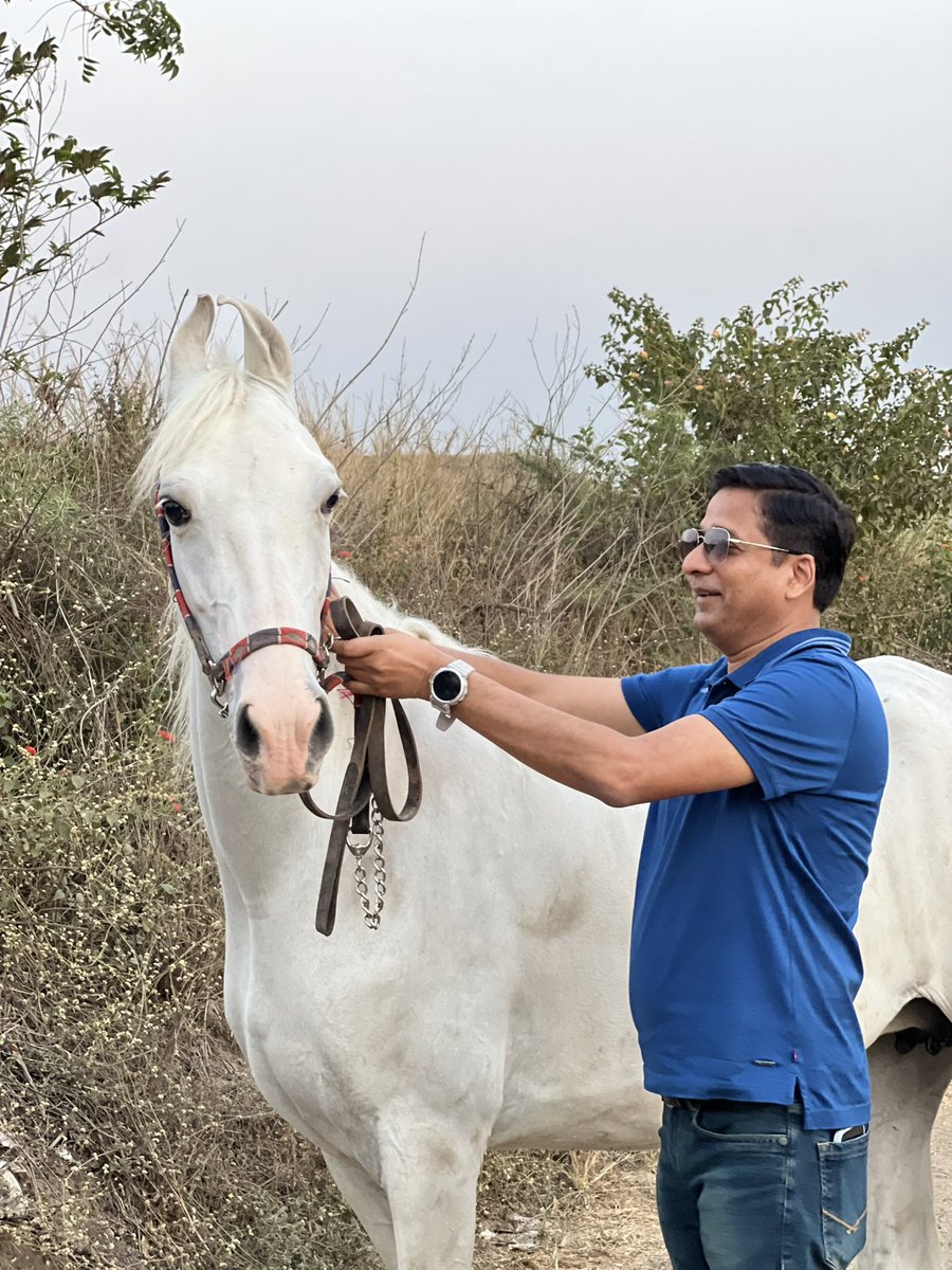 rajeshpalviya's tweet photo. #WeekendFun #Farmhouse #villagelife #Grapesfarm https://t.co/vKyDtoh412