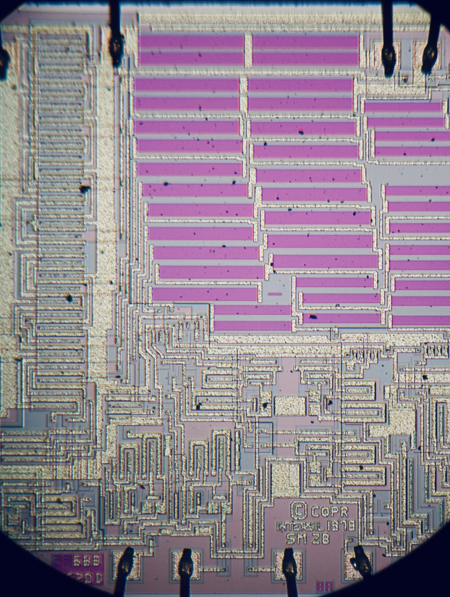duke_cpu's tweet photo. I am finishing off the week with my final #Intersil post…AD7533CD, 8bit A/D converter…7520 on the die… https://t.co/Vfhk1aDyUq