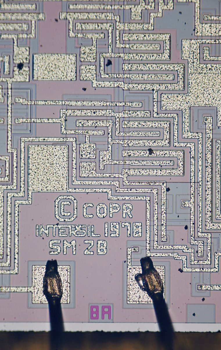 duke_cpu's tweet photo. I am finishing off the week with my final #Intersil post…AD7533CD, 8bit A/D converter…7520 on the die… https://t.co/Vfhk1aDyUq