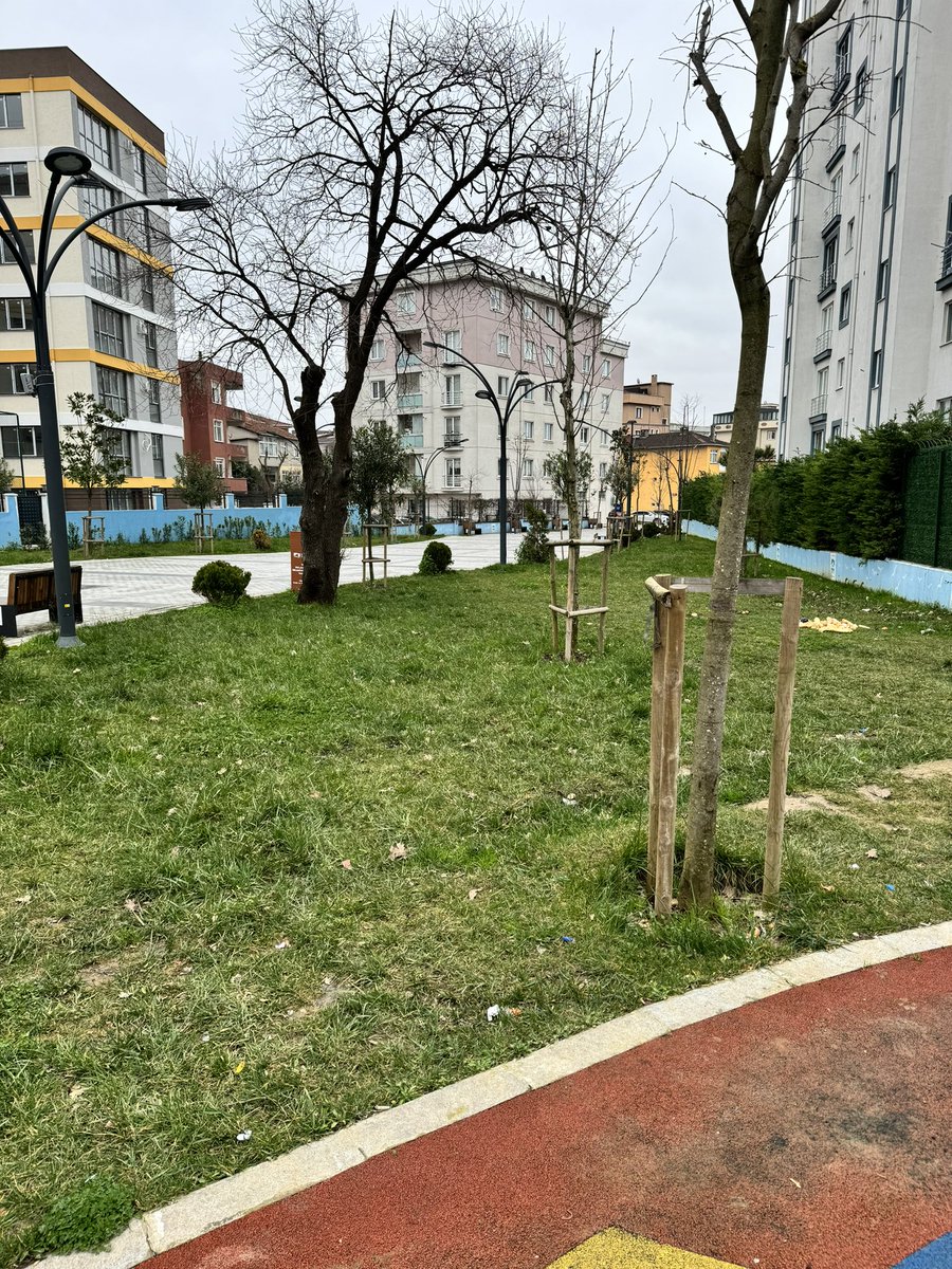 emintlc's tweet photo. @ahmetcin Kurtköy merkezin 100 mt ilerisinde loca evlerinin yanı…. ama daha medeniyet uğrayamamış…ben bildim bileli pis belki seçim öncesi bir el atmışlardır dedim hala pis…. https://t.co/S4oLH1Cc46