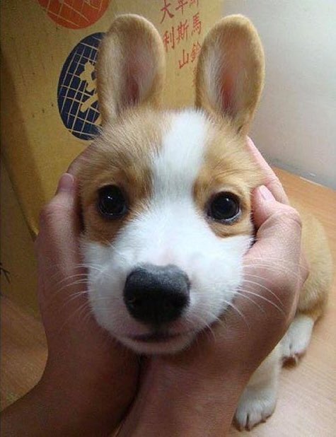 🅾🅷🆄 tweet media