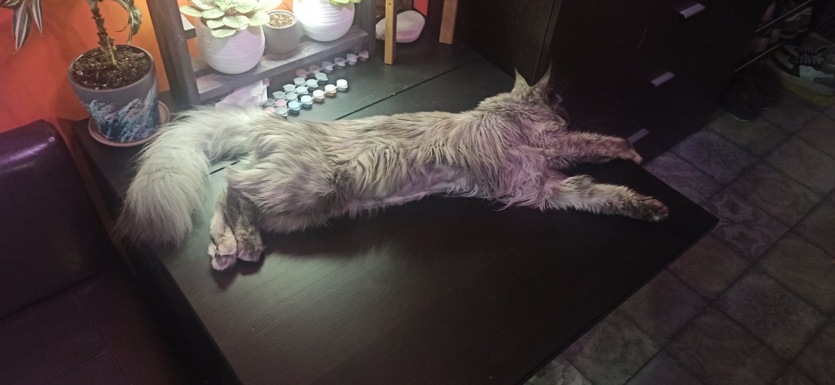 Котостол. Или столокот. Пц даже стараться не надо, чтоб как в мемах сфоткай мейнкуна)). И это при том, что девочка и намного меньше пацанов.