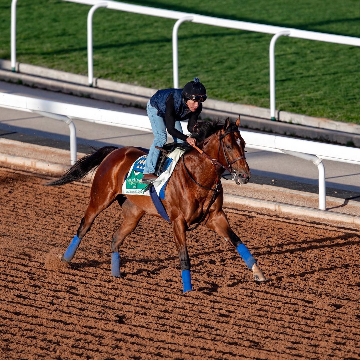 Howdy, NATIONAL TREASURE! 👋🇺🇸 The G1 Saudi Cup contender has settled in well to his new surroundings in Riyadh. #TheSaudiCup | @PreaknessStakes