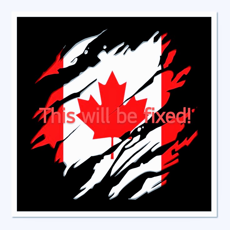 HillBilly_Baby's tweet image. Good morning Canadian Patriots! Have a blessed Sunday! Spend time with family and discuss how to fix our poor broken country. #TrudeauMustGo #LiberalsMustGo #NDPMustGo