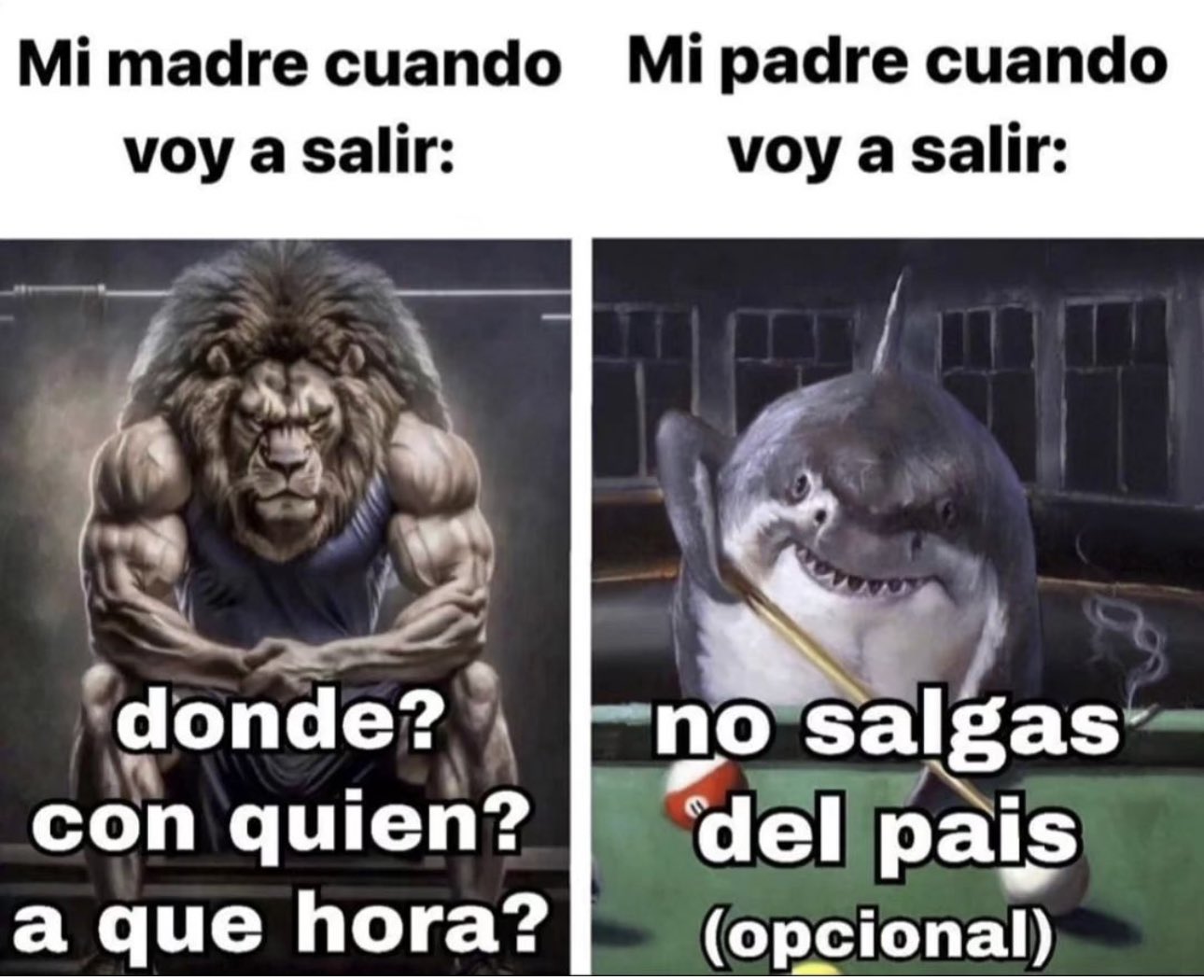 Memes De El Tiburon Mick Fanning Aparecen Memes Del Ataque De 