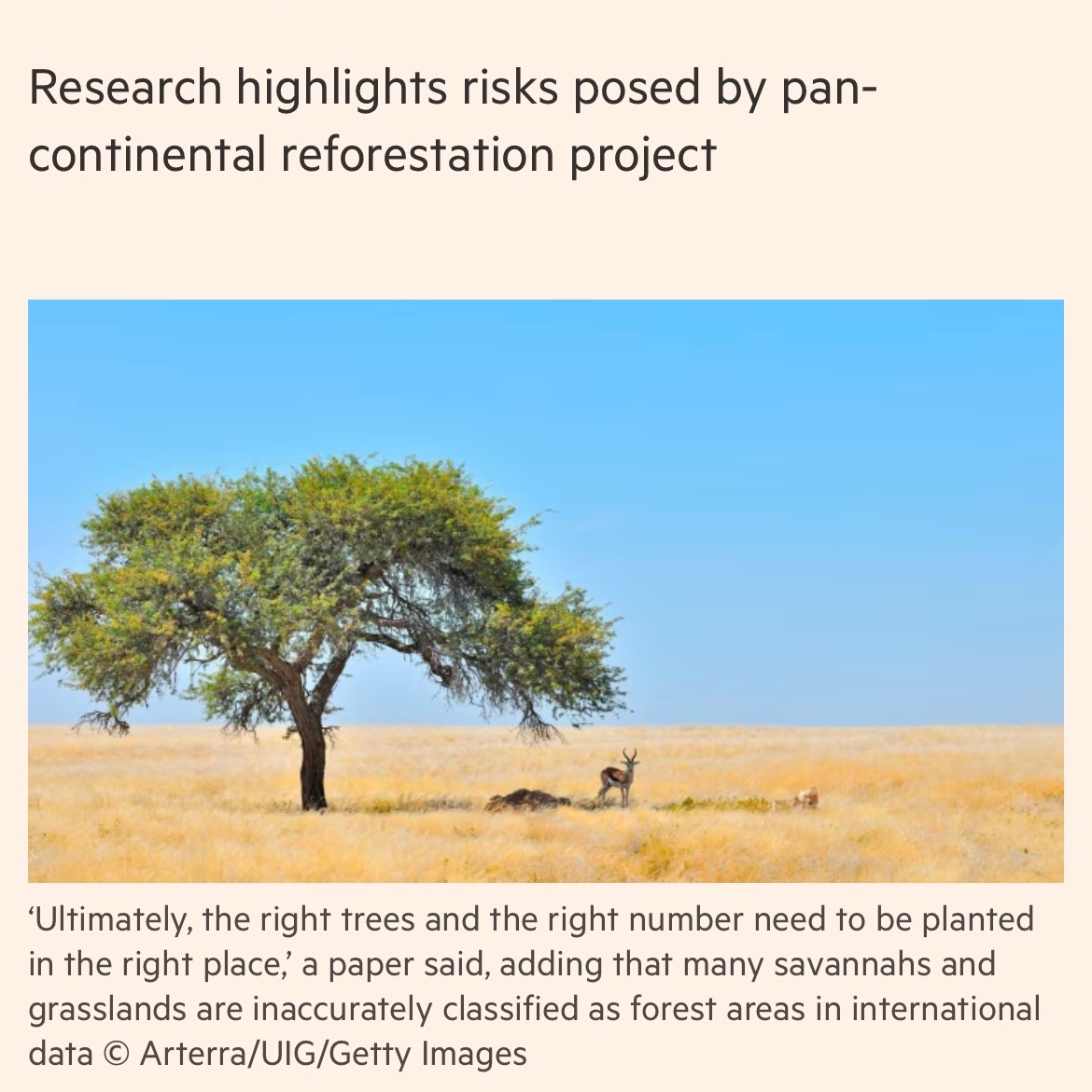 SumusBlog's tweet photo. Global tree-planting push threatens African grasslands, warns report https://t.co/x7HKWjrJTA via @ft 
#LocalAction to protect #LocalClimate 
and before taking any action on environmental issues, rethink #LocalBiodiversity 

#climate #biodiversity #nature #resilience https://t.co/xH7787BQUY