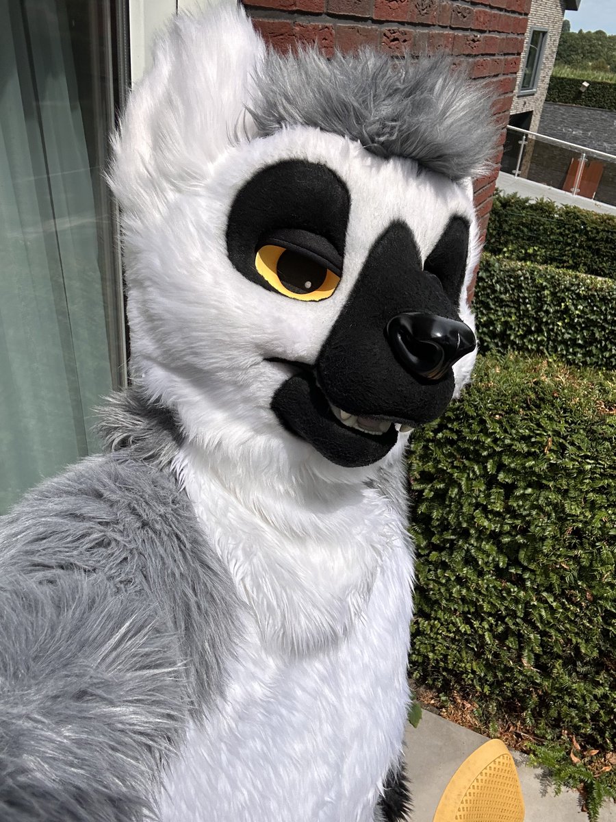 KyotoFox tweet picture